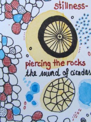 The sound of cicadas The sound of cicadas