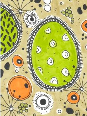 Kiwi Joy Kiwi Joy